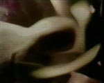 videostill