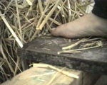 videostill