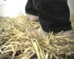 videostill