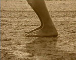 videostill