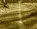 videostill line