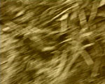 videostill line