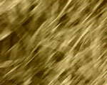 videostill line