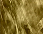 videostill line