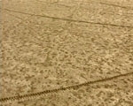 traces videostill