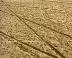 traces videostill