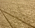 traces videostill