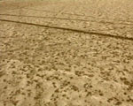 traces videostill