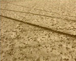 traces videostill