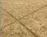 traces videostill