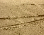 traces videostill