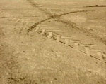 traces videostill