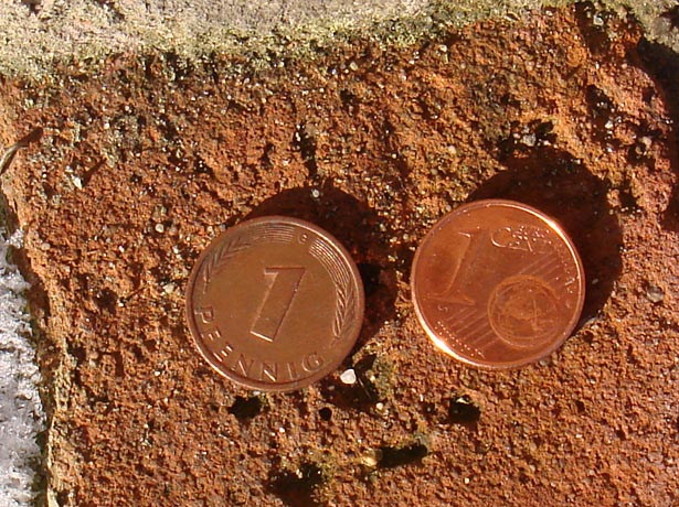 LUCKY_PENNIES