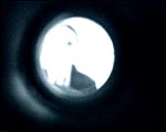 AUGEN_ZEUGEN