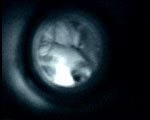 AUGEN_ZEUGEN