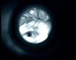 AUGEN_ZEUGEN