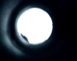 AUGEN_ZEUGEN