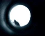 AUGEN_ZEUGEN
