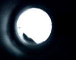 AUGEN_ZEUGEN