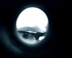 AUGEN_ZEUGEN