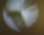 videostill