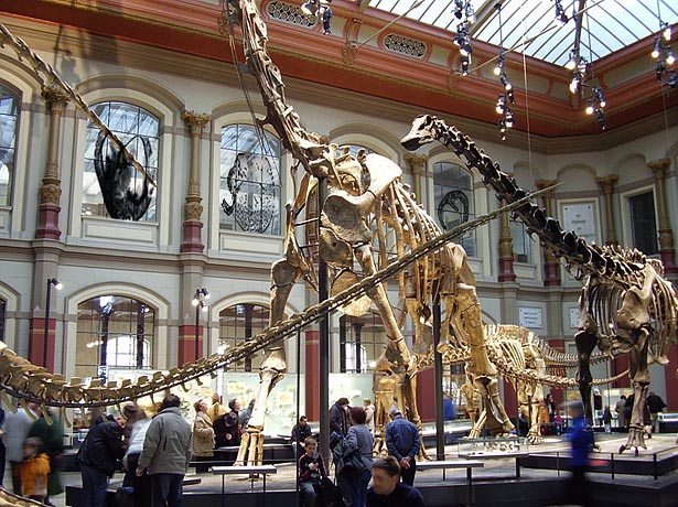 Zellprothetik und Membrane